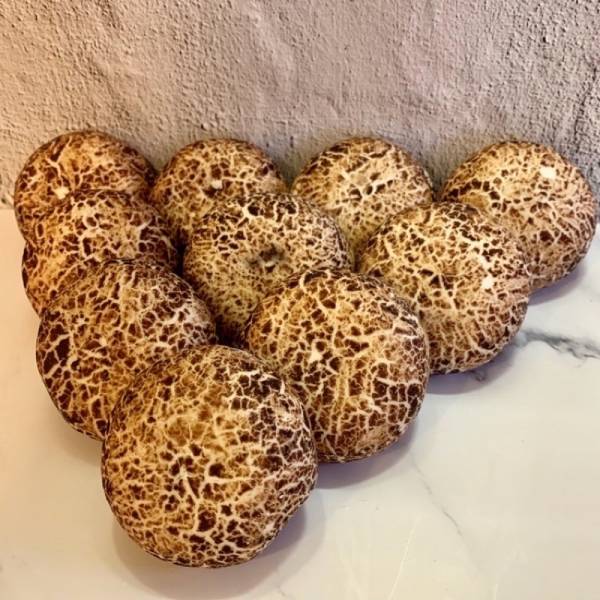 珍菇流沙包-10入 芝麻包,宴客,爆漿,生鮮,現貨,實拍,海鮮