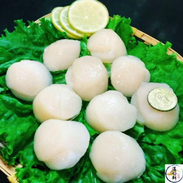 頂級北海道生食大干貝(S)-10顆 日本干貝海鮮丼飯干貝香煎干貝,炙燒奶油干貝,北海道g生食大干貝,生鮮,實拍,現貨,温好鮮