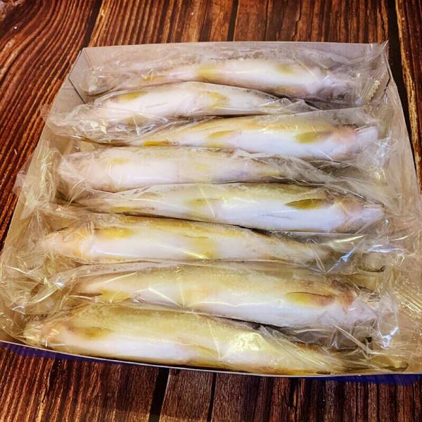 台灣香魚(公)7~8尾 燒烤,香魚,國產,實拍,生鮮,現貨,海鮮