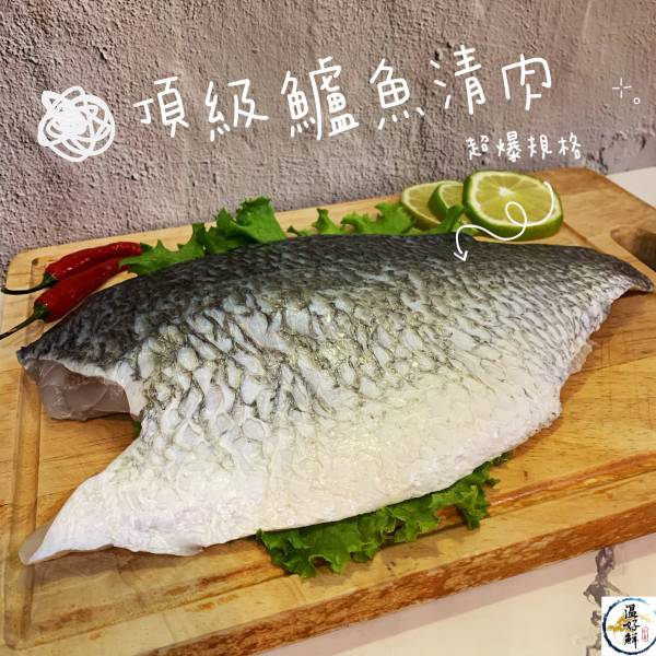 頂級鱸魚清肉(超爆規格) 鱸魚,開刀,膠質,清蒸,無刺,生鮮,實拍,現貨