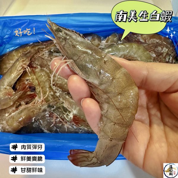 南美生白蝦(40/50規格) 生白蝦,冷凍,海鮮,蝦子,醉蝦,烤蝦,新鮮,南美白蝦,生鮮,實拍,現貨,溫好鮮