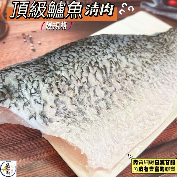 頂級鱸魚清肉440g~470g(爆規格) 鱸魚,鱸魚清肉,鱸魚切片,新鮮,海鮮,水產,生鮮,實拍,現貨,溫好鮮