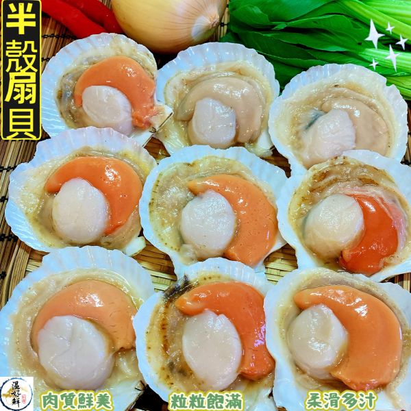 半殼扇貝-約6~7顆(大規格) 扇貝,半殼扇貝,清蒸,火鍋,燒烤,新鮮,海鮮,料理