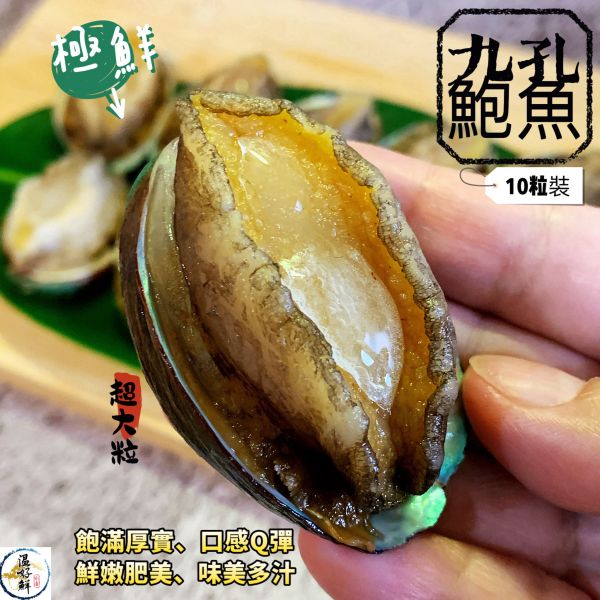 (特大)九孔鮑魚-10顆裝(禮盒) 九孔,鮑魚,五味醬,辦桌,沙拉,芥末,彈牙