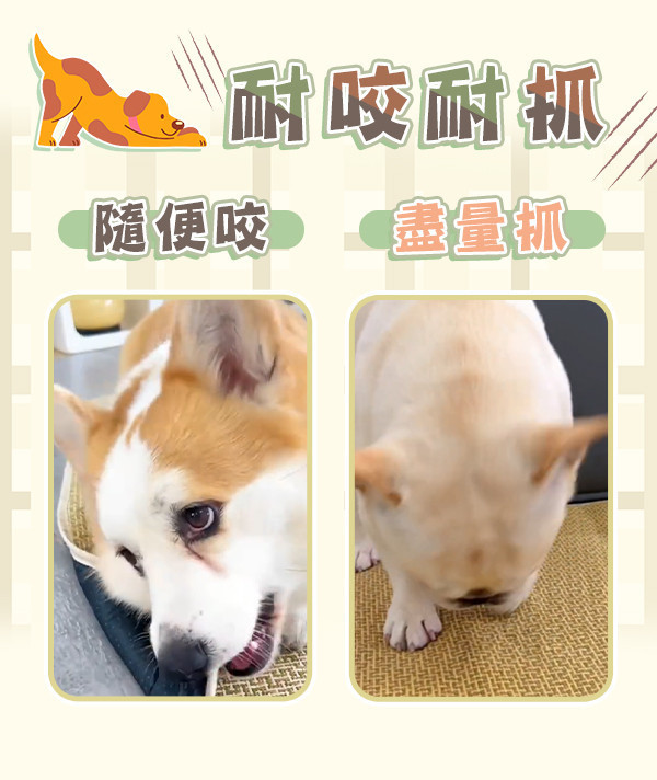 【松田Pet】藤編寵物涼蓆 