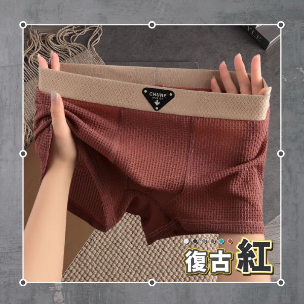 【OOTD+高質感】新型男冰絲紋理內褲 