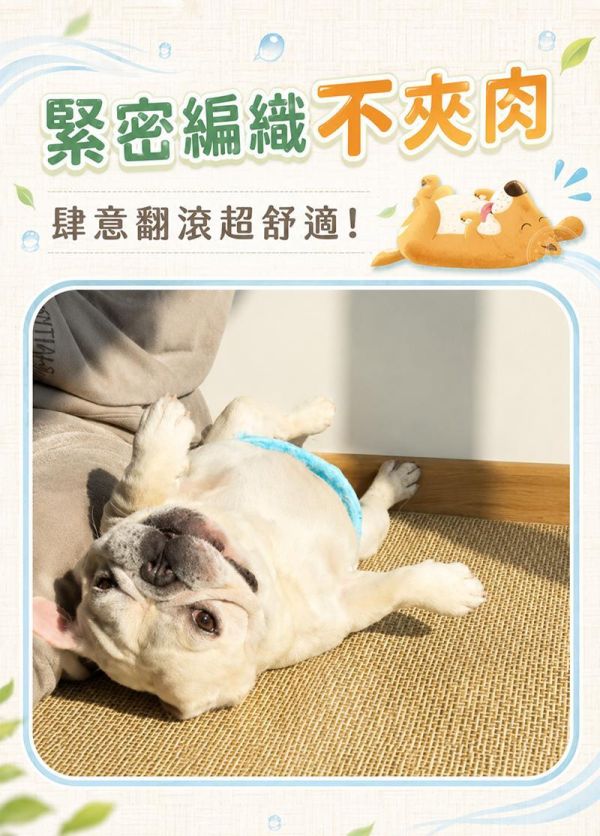 【2XL】【松田Pet】藤編寵物涼蓆 