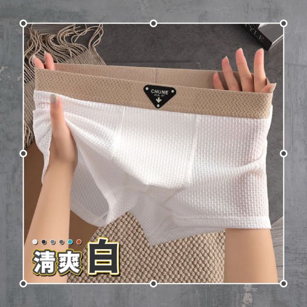【OOTD+高質感】新型男冰絲紋理內褲 