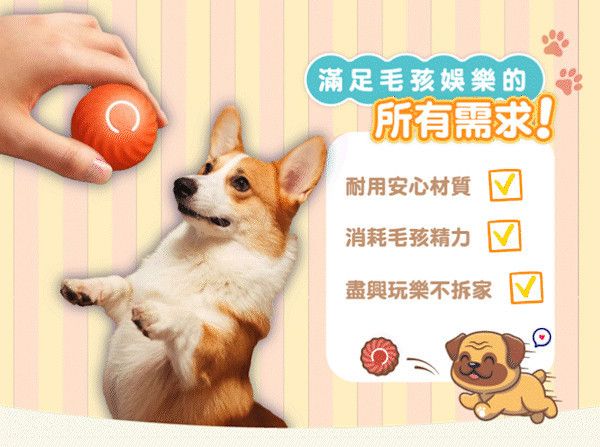 【PetJoy】寵物跳跳球 