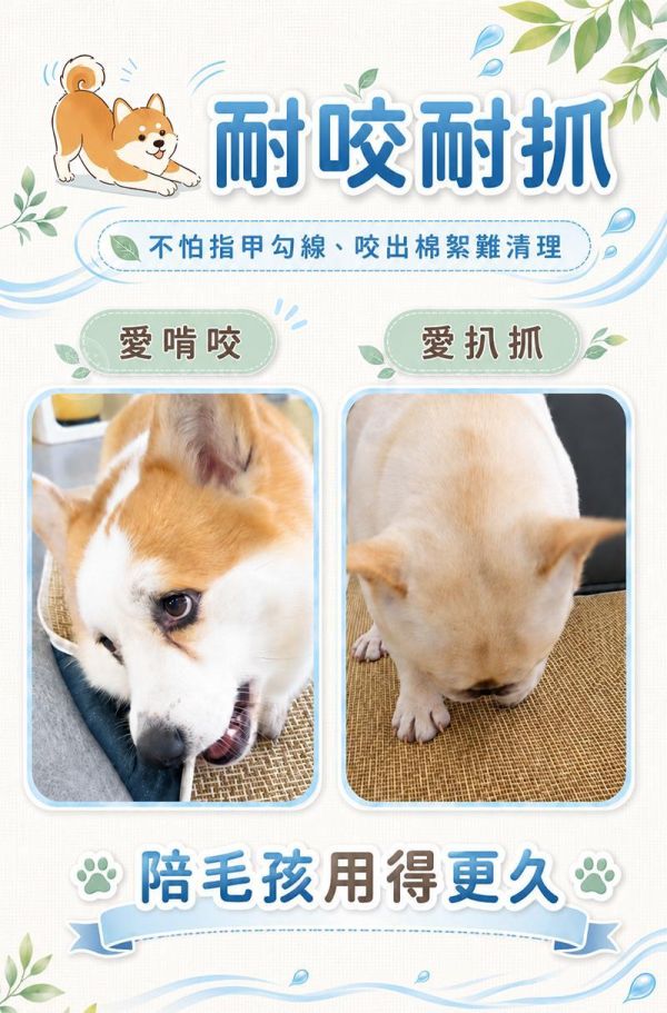 【2XL】【松田Pet】藤編寵物涼蓆 