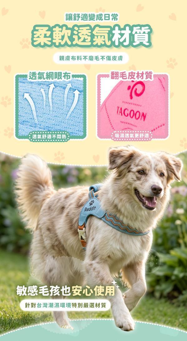 【Safety】新升級馬鞍減壓胸背帶 