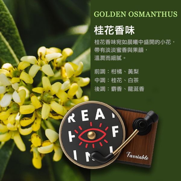 【覺醒分子】 唱片機車用香氛(附3片香氛片) 【覺醒分子】 唱片機車用香氛(附3片香氛片) 車用 | 唱片機 | 冷氣出風口