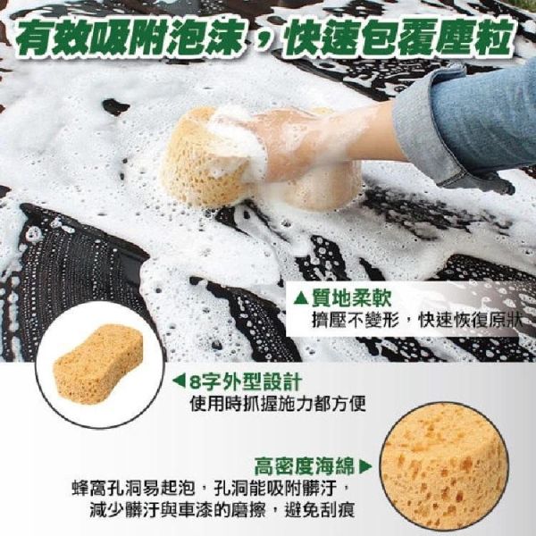 【美國龜牌】TW118蜂巢洗車泡綿 【美國龜牌】TW118蜂巢洗車泡綿 洗車海棉 海綿