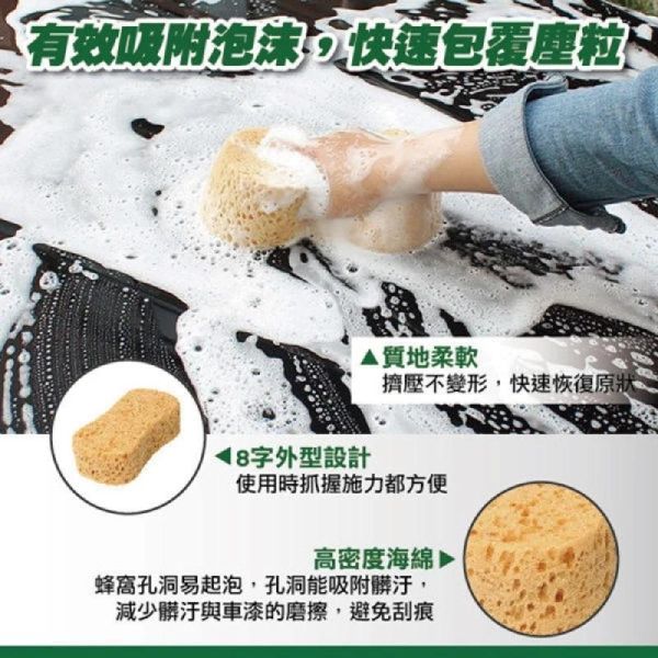 【美國龜牌】TW162輕巧型蜂巢洗車泡綿 (2入裝) 【美國龜牌】TW162輕巧型蜂巢洗車泡綿 (2入裝) 洗車海棉 海綿