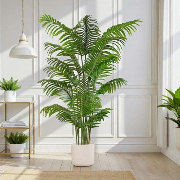 招財旺運鳳凰尾1.6公尺室內大型仿真植栽（贈送花盆） 鳳凰尾植栽,仿真植栽,室內大型植栽,招財植栽,風水植栽,人工植栽,客廳植栽,辦公室植栽,店面佈置