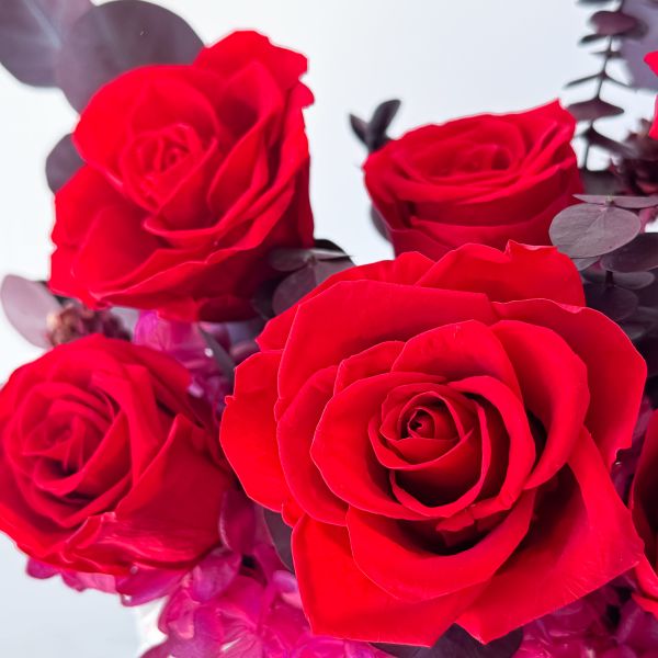 【Floral M】經典紅絲絨法式玫瑰永生花禮（贈送5ml香氛油） 永生花,永生玫瑰,永生花禮,玫瑰永生花,紅玫瑰永生花,法式永生花,紅絲絨玫瑰,法式玫瑰花禮
