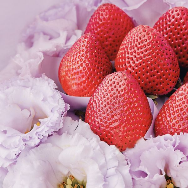 【母親節限定】My No.1 Mommy 摩登鳶尾紫草莓花束 My Dear strawberries,草莓,花禮,花束,浪漫,送禮,創意禮物,strawberry,bouquet,禮物,生日禮物,生日創意禮物,祝福