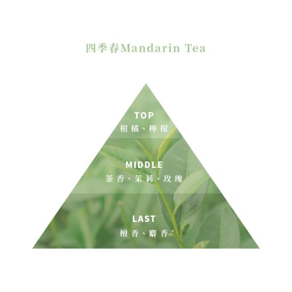 【Floral M】四季春MANDARIN TEA空間香氛油30ml 永生花,不凋花,保鮮花,乾燥花,森林系,盆花,花盆,造型盆花,花禮,送禮,禮物,居家擺件,居家小物,儀式感,質感,浪漫,花,Preserved Flowers,永恆的愛