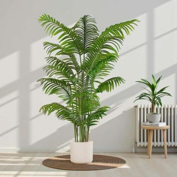 招財旺運鳳凰尾1.6公尺室內大型仿真植栽（贈送花盆） 鳳凰尾植栽,仿真植栽,室內大型植栽,招財植栽,風水植栽,人工植栽,客廳植栽,辦公室植栽,店面佈置