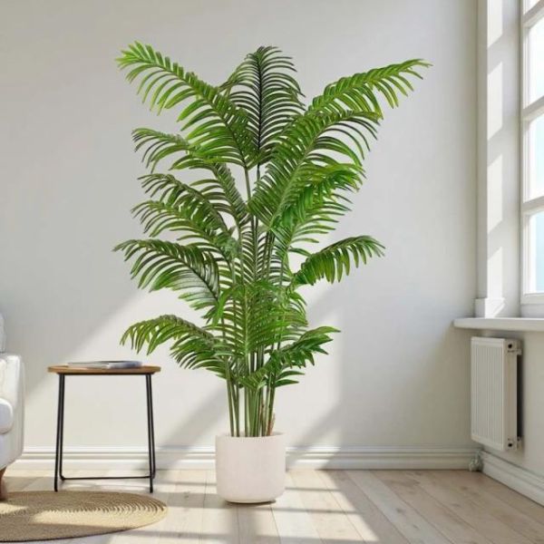 招財旺運鳳凰尾1.6公尺室內大型仿真植栽（贈送花盆） 鳳凰尾植栽,仿真植栽,室內大型植栽,招財植栽,風水植栽,人工植栽,客廳植栽,辦公室植栽,店面佈置