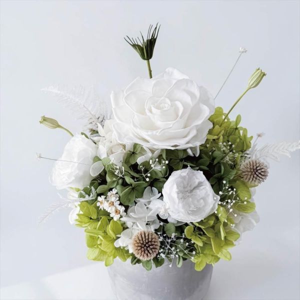 【Floral M】夏洛特花園永生花禮 免運 永生花禮, 永生花玫瑰, 夏洛特花園永生花禮, 生日禮物花禮, 喬遷開幕花禮, 白玫瑰花禮, 綠色系花禮, Floral M永生花