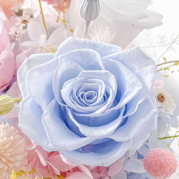 【Floral M】四季花園永生花禮（贈送5ml香氛油）免運 永生花、永生花禮、永生花盆花、乾燥花禮、花藝擺飾、居家擺飾、法式花藝、北歐居家、桌花、開幕送禮、喬遷禮物、生日花禮、母親節禮物、情人節花禮、辦公室擺飾、玄關擺飾、客廳裝飾、療癒花禮、質感禮物、四季花園永生花禮