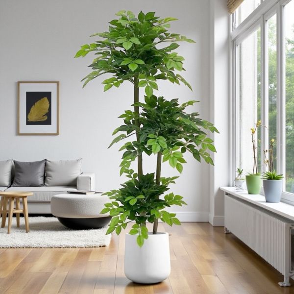 居家超人氣滿滿幸福樹1.5公尺室內大型仿真植栽（贈送花盆） 仿真植栽,室內大型植栽,幸福樹,居家佈置,室內裝飾,假樹 / 人工植栽,客廳植栽,免照顧植栽