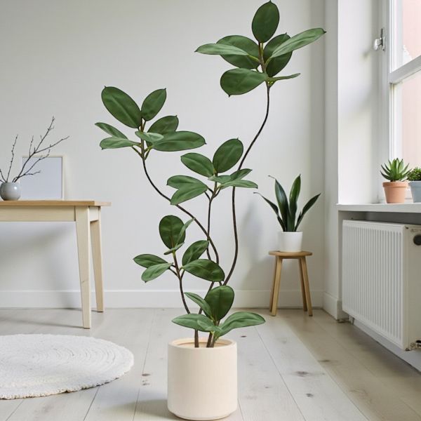 吉祥如意居家大葉榕1.8公尺室內大型仿真植栽（贈送花盆） 大葉榕植栽,仿真植栽,室內大型植栽,吉祥植栽,居家風水植栽,人工植栽,客廳植栽
,玄關植栽,室內佈置