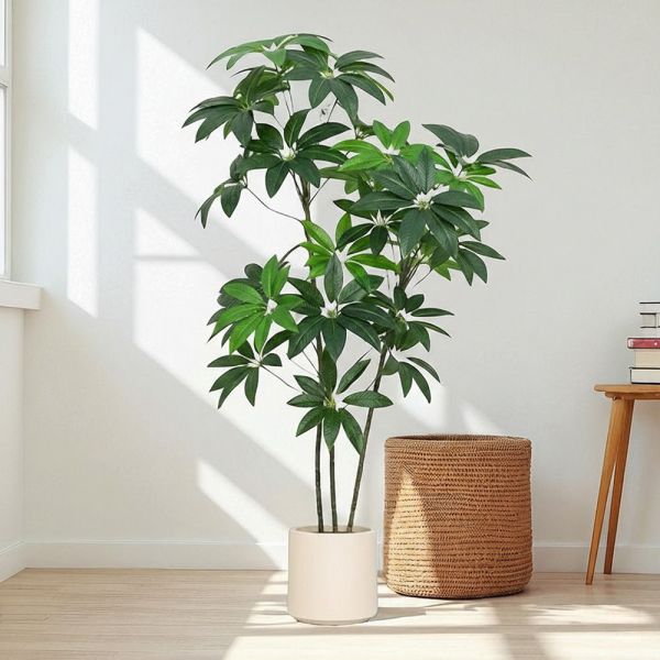 財源滾滾四季發財樹1.7公尺室內大型仿真植栽（贈送花盆） 發財樹植栽,仿真植栽,室內大型植栽,招財植栽,風水植栽,人工植栽,客廳植栽,辦公室植栽,店面佈置