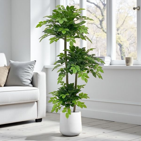 居家超人氣滿滿幸福樹1.5公尺室內大型仿真植栽（贈送花盆） 仿真植栽,室內大型植栽,幸福樹,居家佈置,室內裝飾,假樹 / 人工植栽,客廳植栽,免照顧植栽