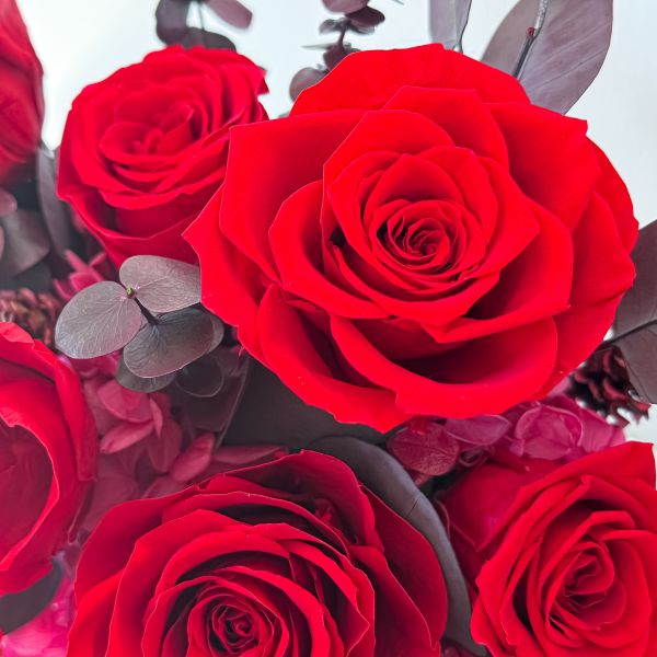 【Floral M】經典紅絲絨法式玫瑰永生花禮（贈送5ml香氛油） 永生花,永生玫瑰,永生花禮,玫瑰永生花,紅玫瑰永生花,法式永生花,紅絲絨玫瑰,法式玫瑰花禮