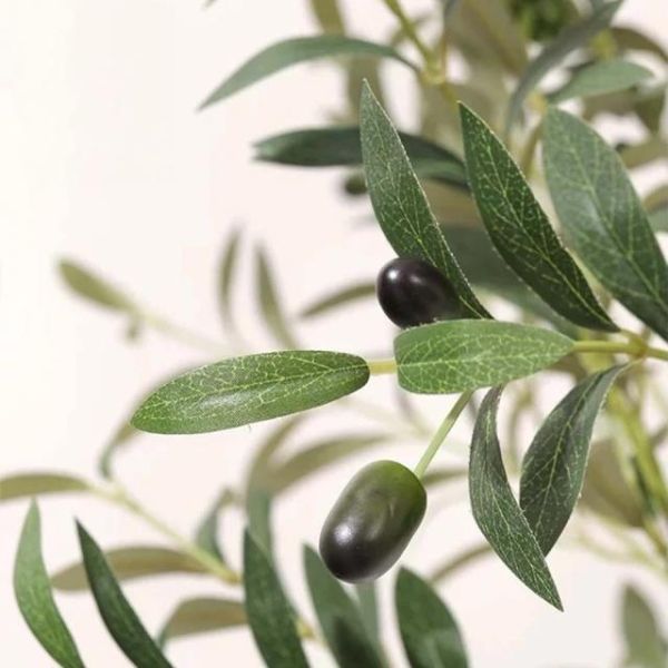 義大利托斯卡納橄欖樹1.8公尺室內大型仿真植栽（贈送花盆） 義大利托斯卡納橄欖樹,仿真橄欖樹,室內橄欖樹,橄欖樹仿真植栽,室內大型仿真植栽,1.8公尺仿真植栽,歐式風格植栽,托斯卡納風格佈置,地中海風植栽,室內裝飾植物,免澆水植栽,客廳大型植栽,玄關植栽推薦,餐廳植栽佈置,辦公室植栽推薦,商業空間植栽,樣品屋植栽,高級感仿真植栽,仿真植物附花盆