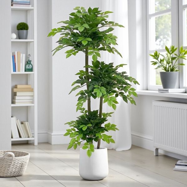 居家超人氣滿滿幸福樹1.5公尺室內大型仿真植栽（贈送花盆） 仿真植栽,室內大型植栽,幸福樹,居家佈置,室內裝飾,假樹 / 人工植栽,客廳植栽,免照顧植栽