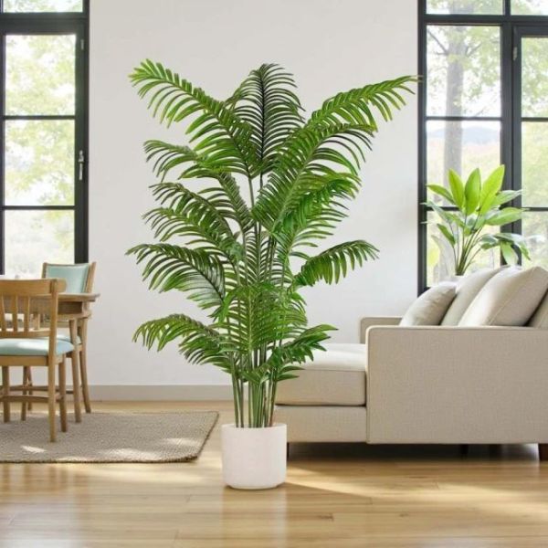 招財旺運鳳凰尾1.6公尺室內大型仿真植栽（贈送花盆） 鳳凰尾植栽,仿真植栽,室內大型植栽,招財植栽,風水植栽,人工植栽,客廳植栽,辦公室植栽,店面佈置