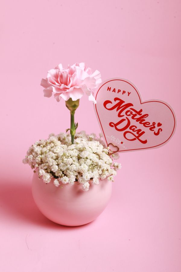 【Floral M】Pinky Lady 蜜桃粉單隻康乃馨鮮花盆 蜜桃粉康乃馨、單支康乃馨、康乃馨鮮花盆、母親節花禮、FLORAL M 花藝