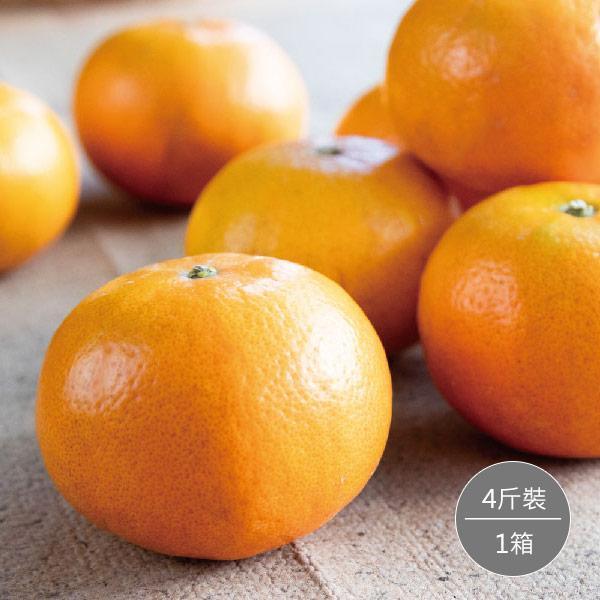 黃金茂谷柑4斤禮盒(每箱約16~20顆)*1箱 