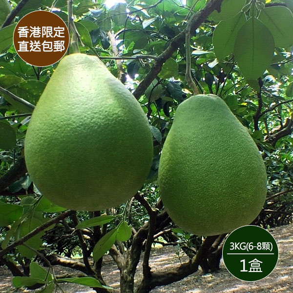【直送香港】精選花蓮老欉文旦禮盒3公斤裝(約6-8顆)x1盒 