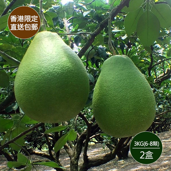 【直送香港】精選花蓮老欉文旦禮盒3公斤裝(約6-8顆)x2盒 