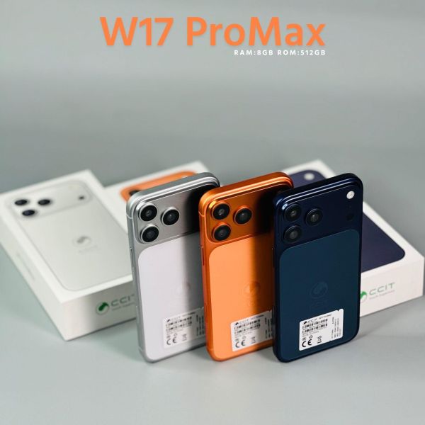 里歐街機 CCIT W17 Pro Max 智慧型手機 