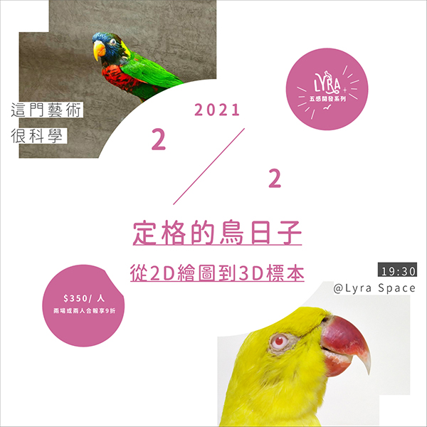 這門藝術很科學——2/2定格的鳥日子，從2D繪圖到3D標本 生態繪圖,科學繪圖,生物標本,標本繪圖,動物標本,動物繪圖,插畫課, 成人繪畫課,生態藝術,生態藝術繪圖,自然繪圖,寫生,動物學家,動物學,鳥繪,鳥類,鳥類標本,標本製作