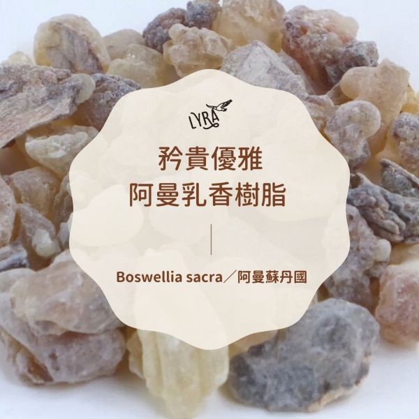 矜貴優雅阿曼乳香樹脂15g 樹脂, 燒台, 溫火燒台, 乳香, 沒藥, 琥珀,挪威雲杉,欖香脂,西伯利亞雪松, 芳療,芳香療法,香氣,氣味,蠟燭,阿曼乳香