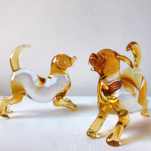 狗來富小金犬 