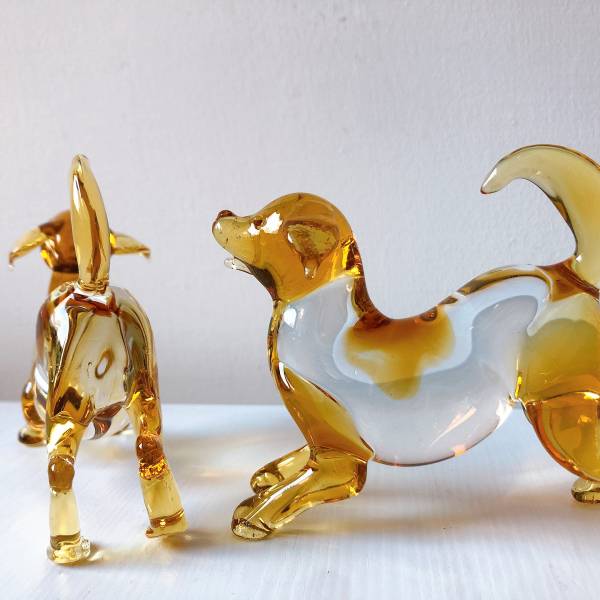狗來富小金犬 