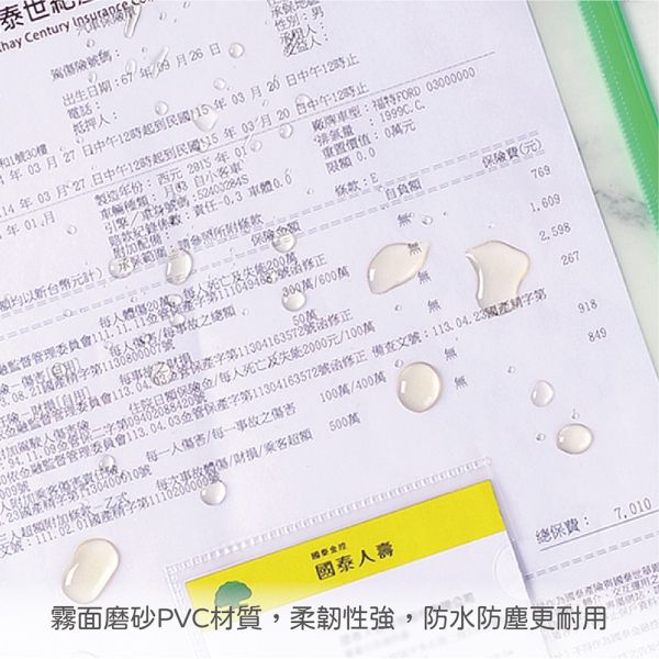 國泰人壽-保單文件袋(200個/箱) 