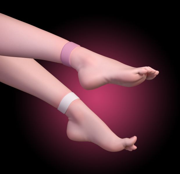 ﹝代購﹞GK  arctic wolf﹝崩壞3﹞花嫁愛麗 