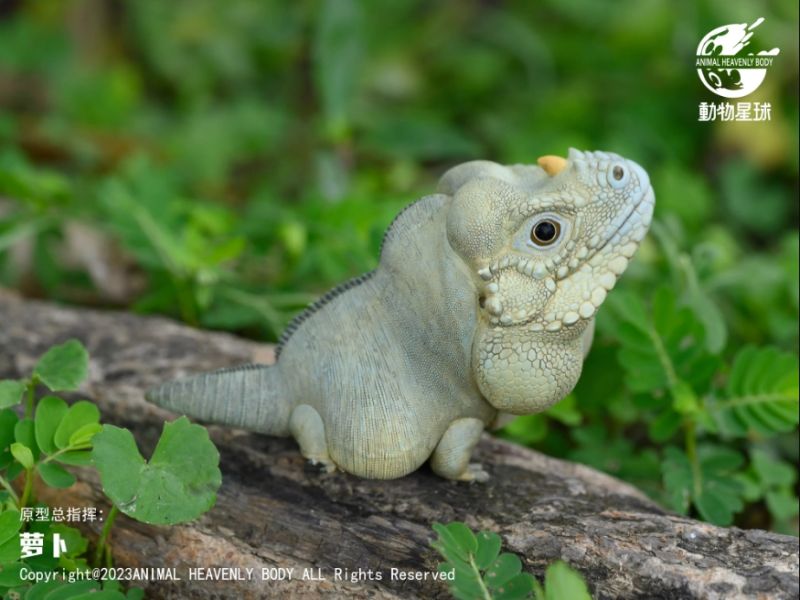 ﹝代購﹞GK  動物星球﹝原創﹞心寬體胖系列十六彈 