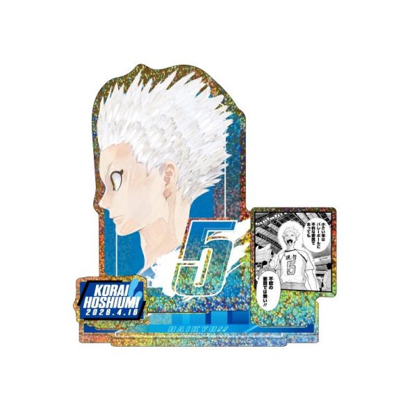 ﹝預購﹞排球少年  生日立牌  星海光來 