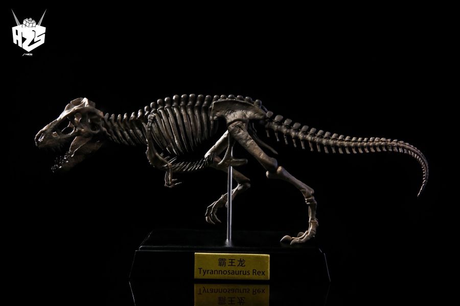﹝代購﹞GK 盒作社Hzs﹝原創﹞骨生物系列-恐龍化石霸王龍骨架 