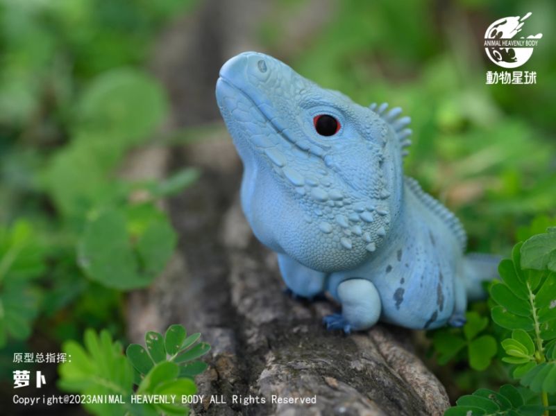 ﹝代購﹞GK  動物星球﹝原創﹞心寬體胖系列十六彈 