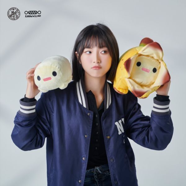 ﹝在台現貨﹞  OFF ART﹝原創﹞Bananaers Dog蕉狗枕頭+涼被組 